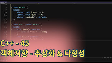 C++(CPlusPlus) - 객체지향 프로그래밍 추상화 & 다형성