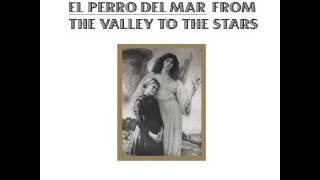 Video thumbnail of "El Perro Del Mar - To Give Love"