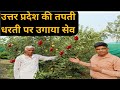 इस किसान ने35 डिग्री में उगाई सेब की फसलThis farmer has grown apple crop in 35 degree