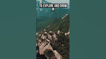 The Importance of Dune