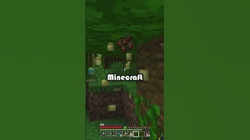 🌴 Minecraft Cocoa Beans Cookie Crafting 🍪