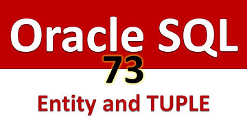 Oracle SQL Developer Tutorial For Beginners  73   ER Model Entity Attribute and TUPLE