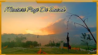 FAJAR DI SAWAH || BEAUTIFUL NATURE || NATURE || NATURE LOVERS