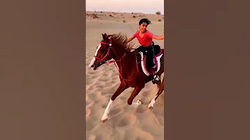 Girl Power On Display Horse Riding Adventure لڑکی کی طاقت نمائی گھوڑے پر سواری کی سیر 