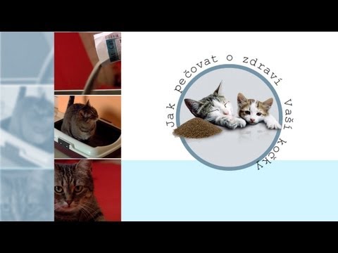 Video: Zdraví Močových Cest Vaší Kočky
