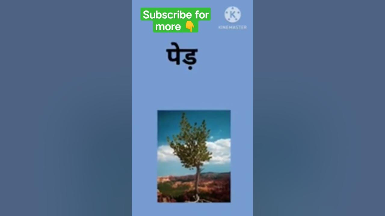 holi ke swang ko kya kahte hai