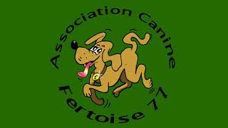 L École Du Chiot À L Association Canine Fertoise