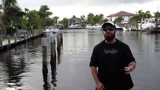 Spag Heddy Ft Psognar  Never Say Die Vol 5 out Now