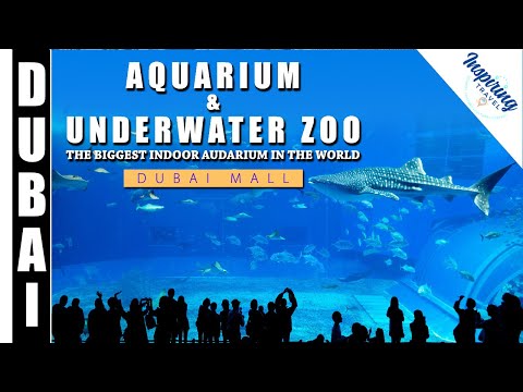 Largest Indoor #Aquarium in the world – Dubai Mall Aquarium & Underwater Zoo
