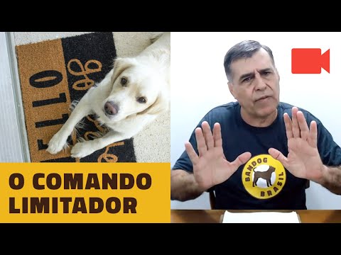 O Comando Limitador.