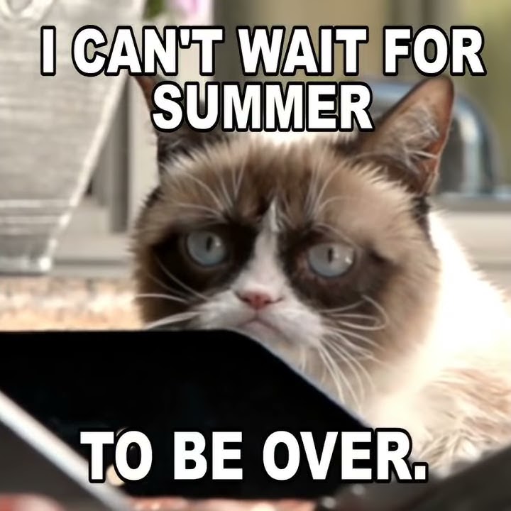 Grumpy Cat, the Arizona meme sensation, is dead at 7