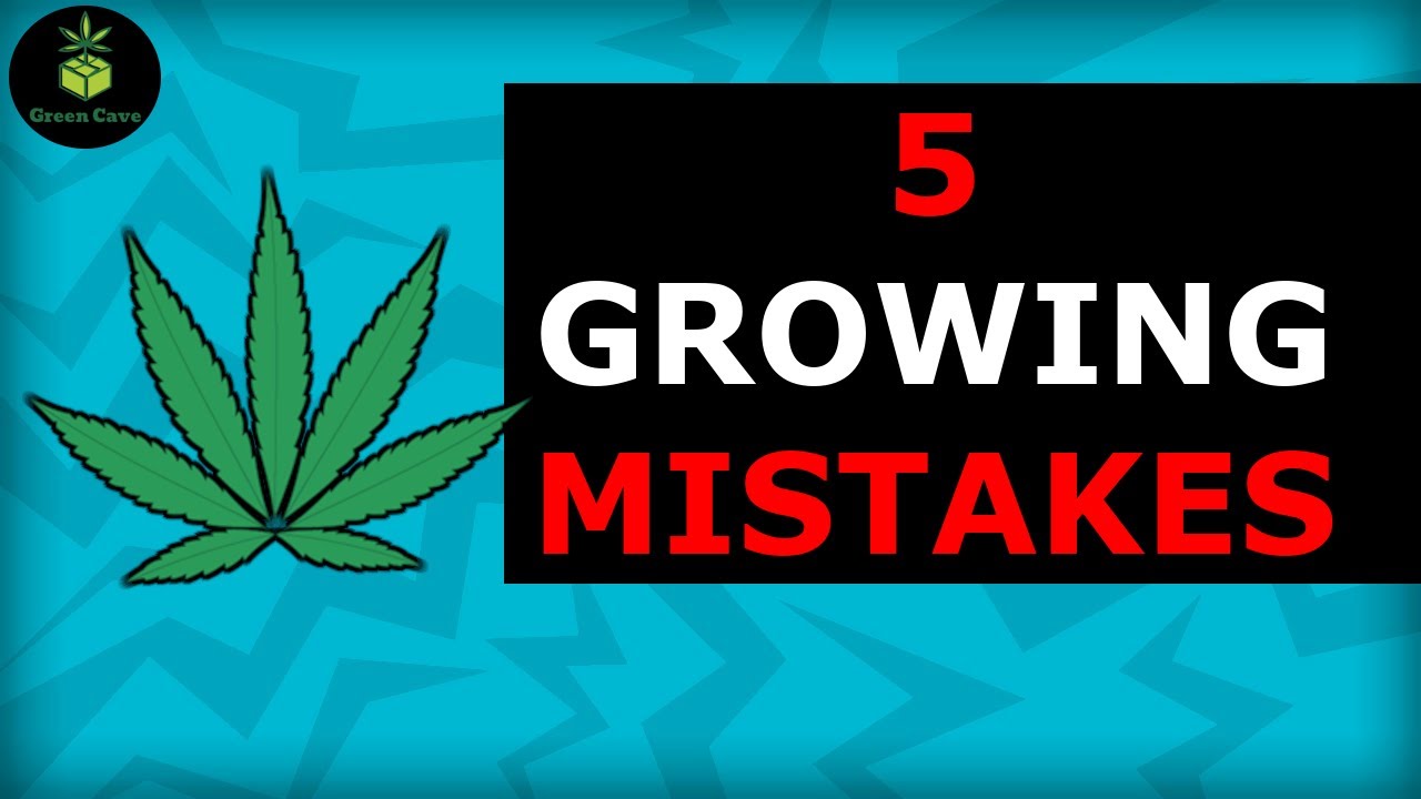 Top 5 BEGINNER Grow MISTAKES for Simple and EASY Growing!