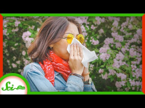 Thank Climate Change for the Awful Allergy Season thumbnail