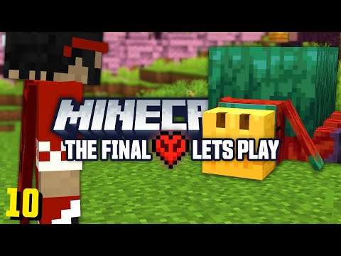 The Final Minecraft Let's Play (#10)
