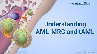 Understanding AML-MRC and tAML