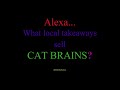 Dj Tetro - Alexa, what local Takeaways sell Cat Brains? [4K] #Shorts