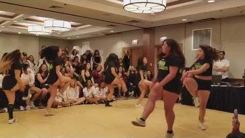 APhiG NIU Conference 2017: Battle of the Sisters