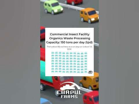 How much food waste can a commercial insect facility handle? - YouTube