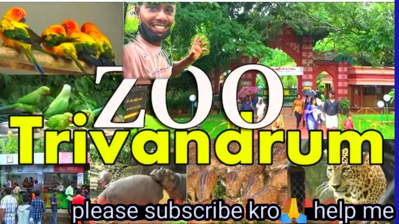 trivandrum zoo_zoological park trivandrum karela and 🐍snake YouTube