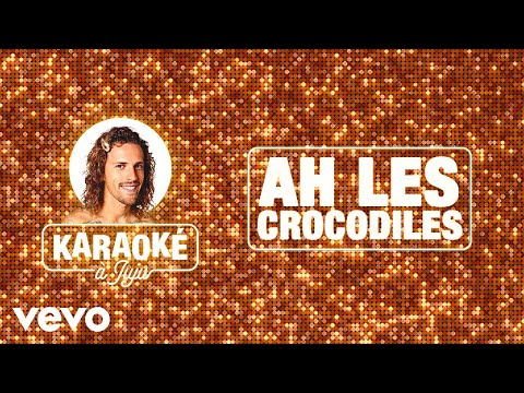 Julien Doré - Ah les crocodiles (Lyrics karaoké)
