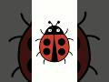 How to Draw a Ladybug 🐞🎨