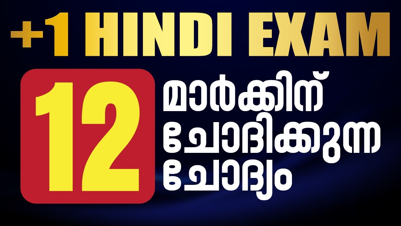 PLUS ONE EXAM | HINDI | 12 മാർക്കിന്റെ SURE QUESTIONS | RAYS EDUCATION 