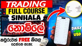 Start Trading with zero | Trading Full course Sinhala - සල්ලි දිලා ඉගෙන ගන්න Full Course එකම නොමිලේ