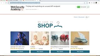 Information PortSwigger API Testing Guide