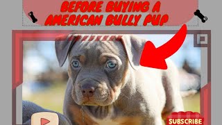 Top 5 things to consider before buying an American Bully Puppy