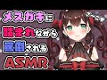 【ASMR/3dio】ゾクゾク💖メスガキに踏まれながら罵倒される Stepping/whispering【 #花守へるし 】