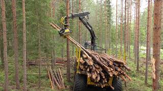 Forestry Thinning Forwarder