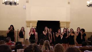 Dont Wake Me Up - Stanford Counterpoint Spring Show 2018