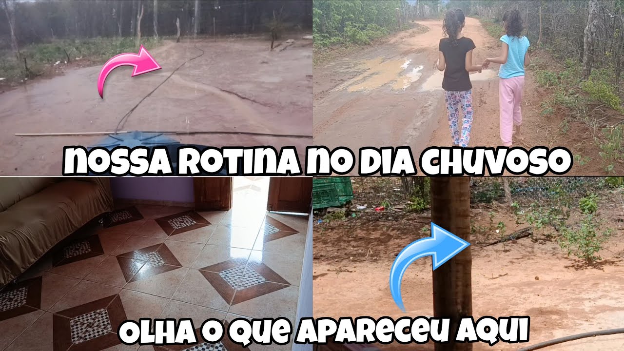 Nossa rotina real em um dia chuvoso na roça ☺️🌧️
