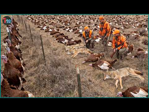 America's Endless War on Wild Animals — And the Billion-Dollar Industry Behind the Guns
