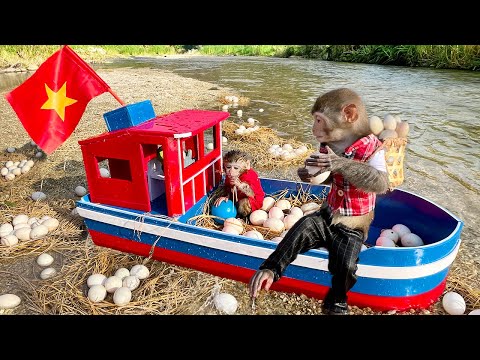 Baby monkey Bim Bim and Obi goes boat to collect duck eggs to help dad