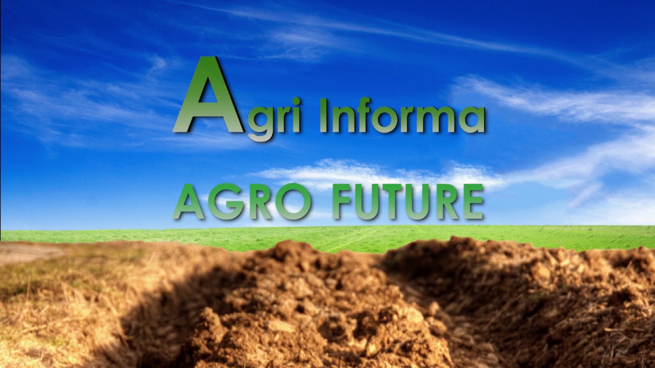 Agri Informa 7/2017: Soia