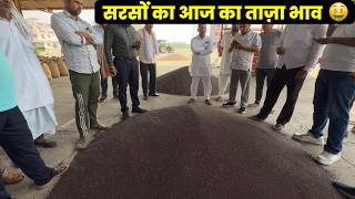 आज का सरसों भाव | sarso mandi rate | Aaj ka sarso bhav | today mustard price