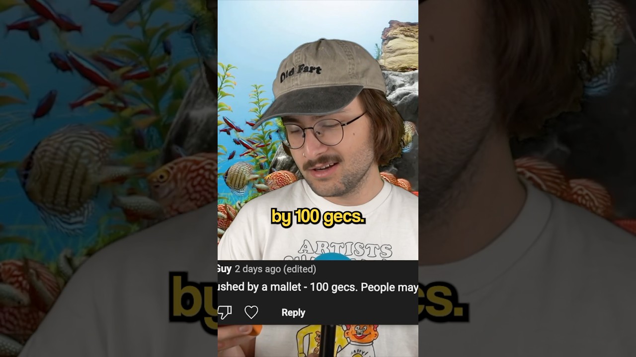 ненавистник gecs в фанатском конвейере — это реально 