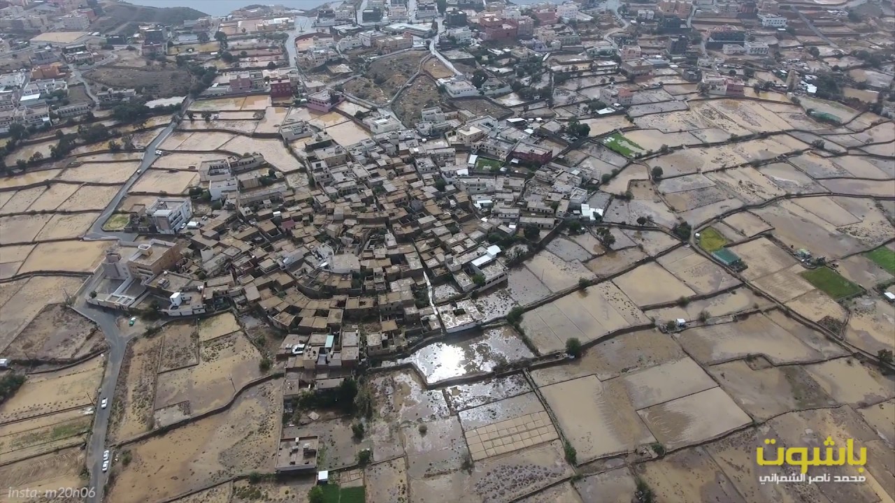 باشوت بعد المطر .. ١٤٣٩هـ .. تصوير ومونتاج: محمد ناصر الشمراني