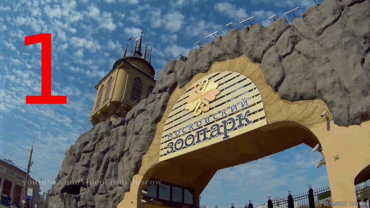 Старая территория азлк