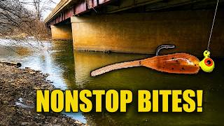 We Found a Rock Bass Honey Hole on the DuPage River (Drop Shot Fishing)
