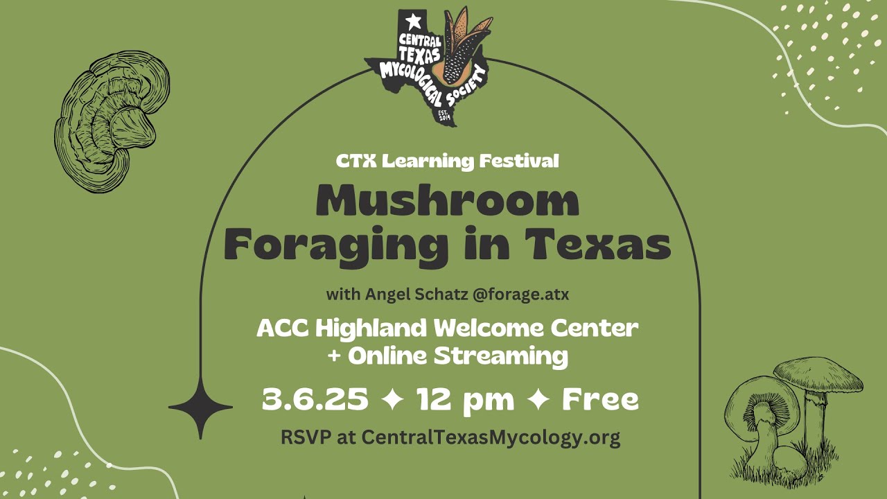 Texas Foraging Video Livestream: Mushroom Foraging in Texas - YouTube
