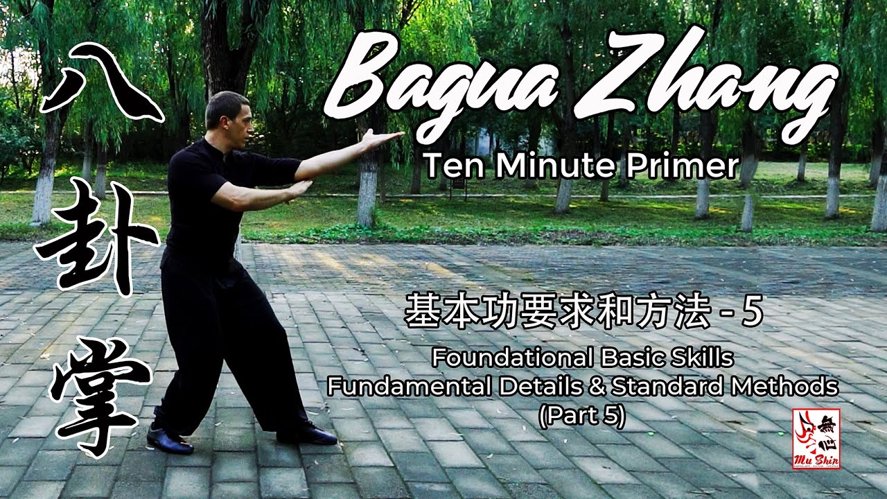 Bagua Stepping - Bagua Zhang Ten Minute Primer - Foundational Basic Skills (Part 5)