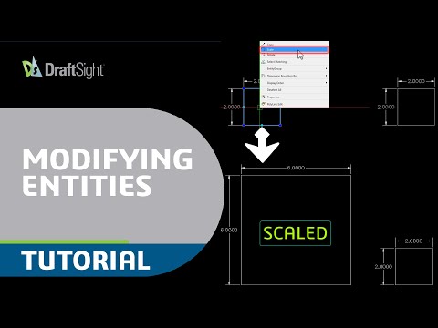 Scale Entity Using Mouse Button