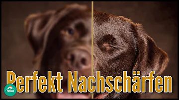 Kann man Fotos nachschärfen?