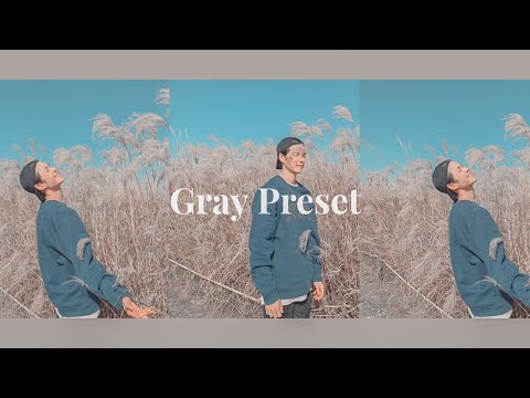 GRAY PRESET | LIGHTROOM MOBILE PRESET FREE | MEN AESTHETIC PRESET