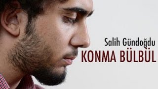 Salih Gündoğdu - Konma Bülbül Resimi