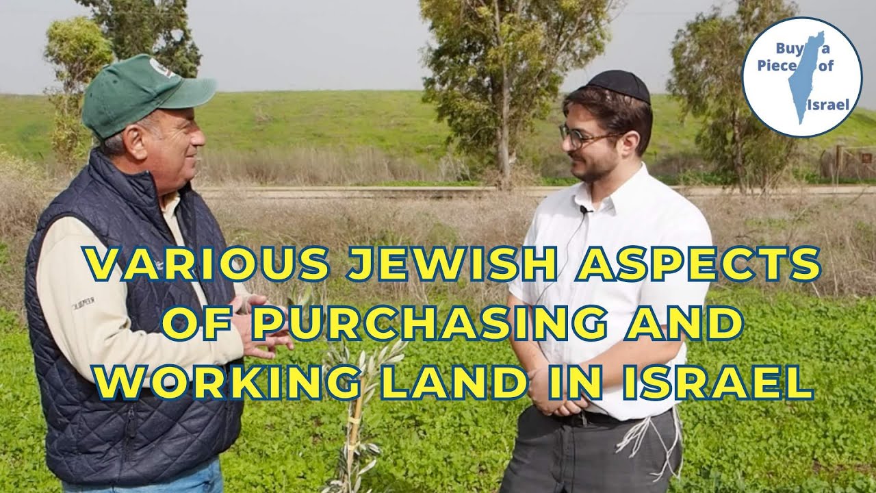 Land in Israel Various Jewish aspects of purchasing and working land