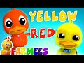 Learn Colors with Ducks | Kids Preschool Learning | Nursery Rhymes & Children's Music Farmees