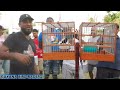 RYAN VS DENESH / GEORGETOWN VS BERBICE TOWA TOWA BIRD COMPETITION IN BERBICE